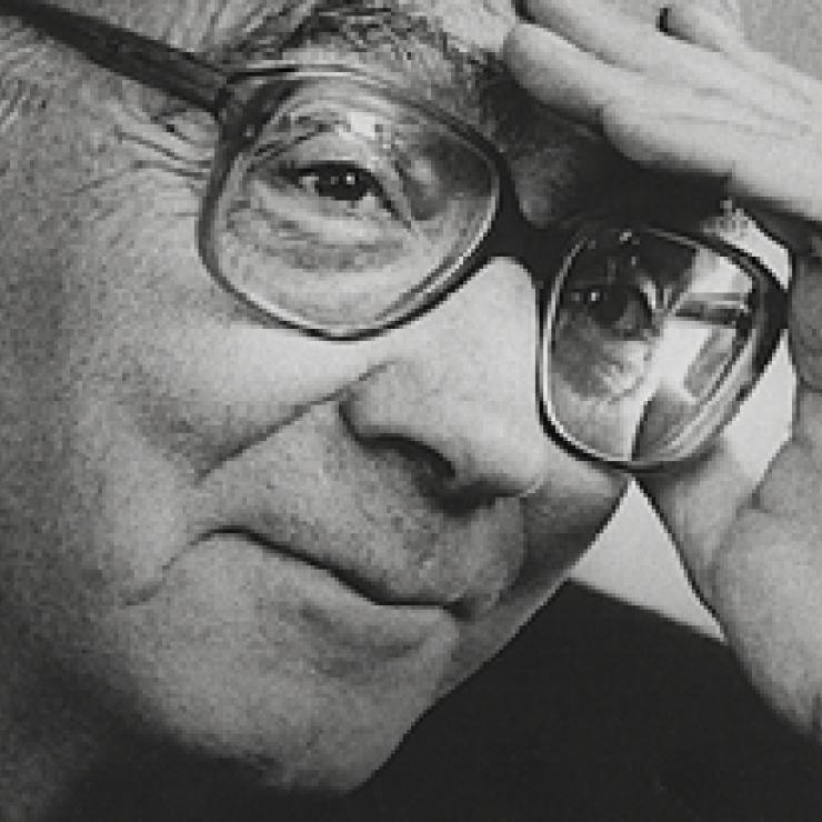 Assaig sobre la ceguesa