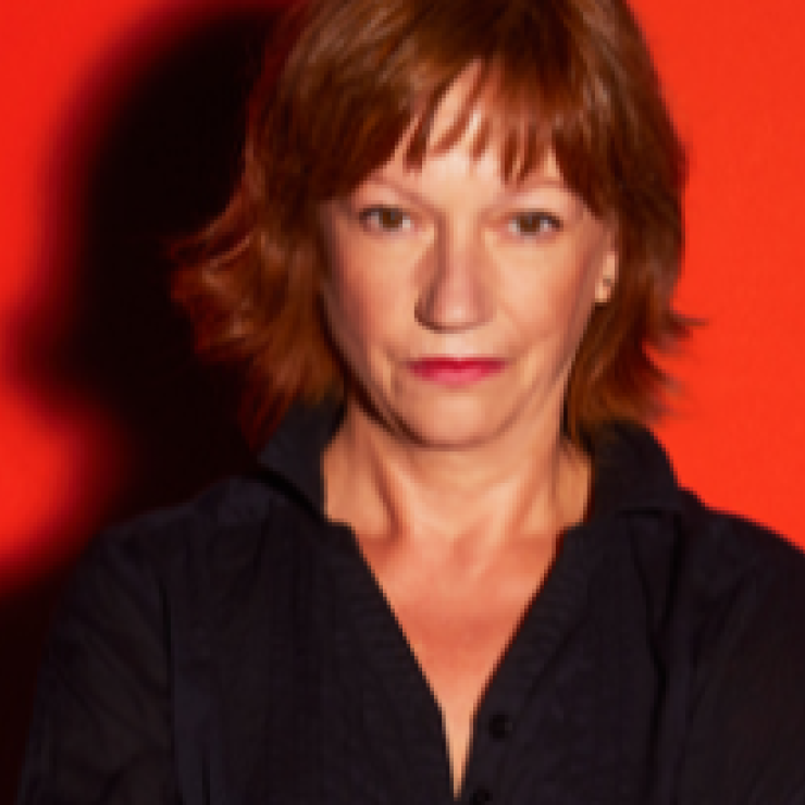 La casa de les aranyes