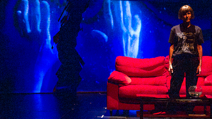 Foto 2 de l'espectacle Alicia en un món real