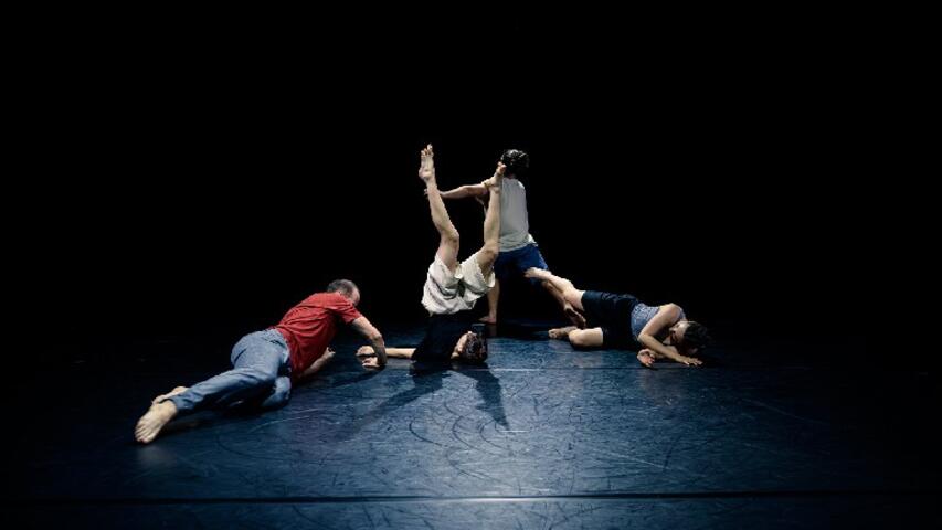 Foto 11 de l'espectacle ChoreoLab Internacional