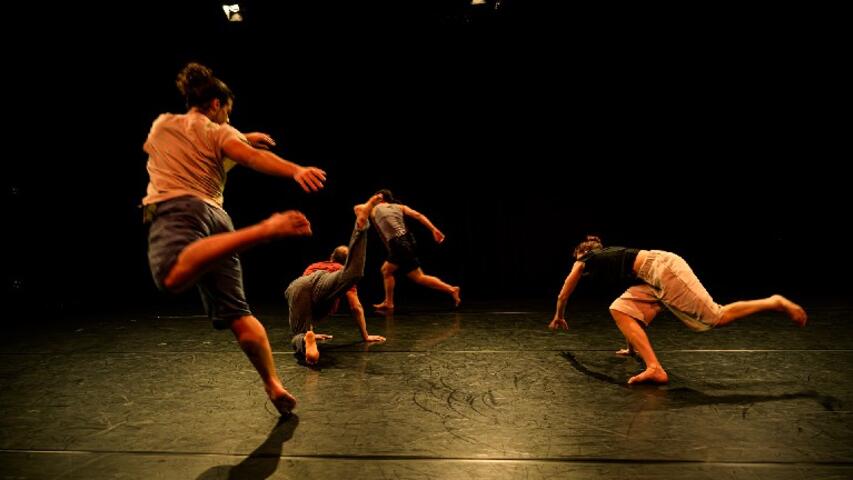 Foto 10 de l'espectacle ChoreoLab Internacional