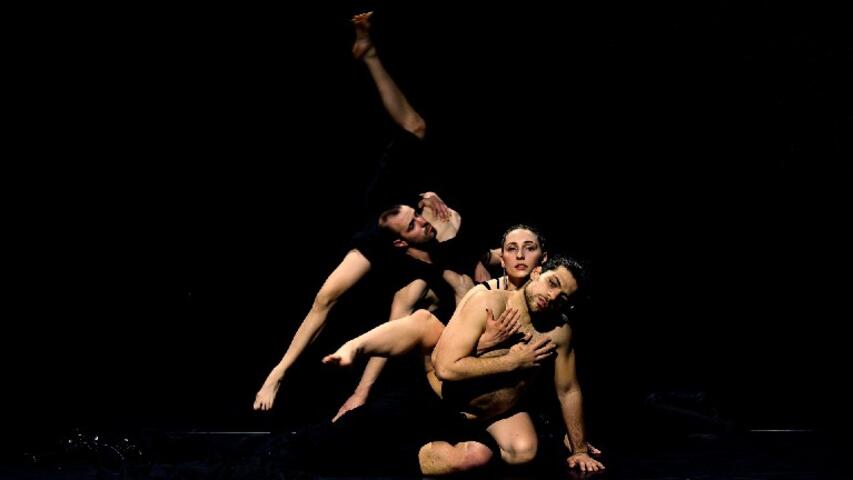Foto 8 de l'espectacle ChoreoLab Internacional