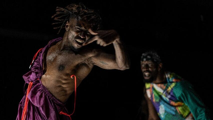 Foto 9 de l'espectacle Hannibal