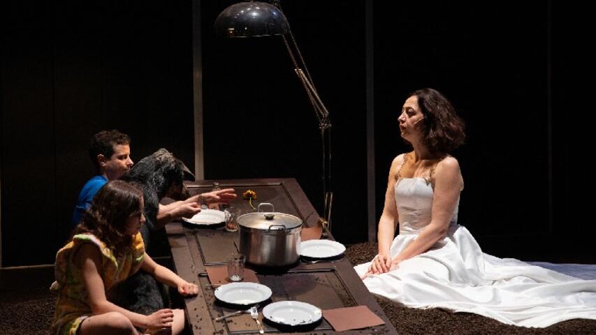 Foto 4 de l'espectacle Les jours de mon abandon