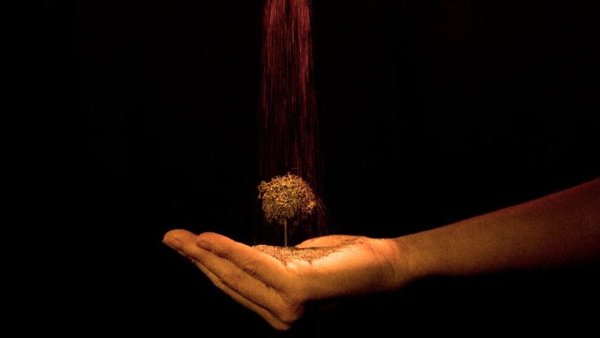 Foto 3 de l'espectacle An-ki