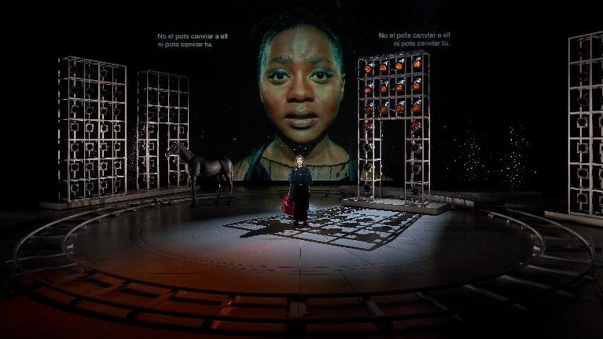 Foto 26 de l'espectacle Anna Karènina © David Ruano / TNC