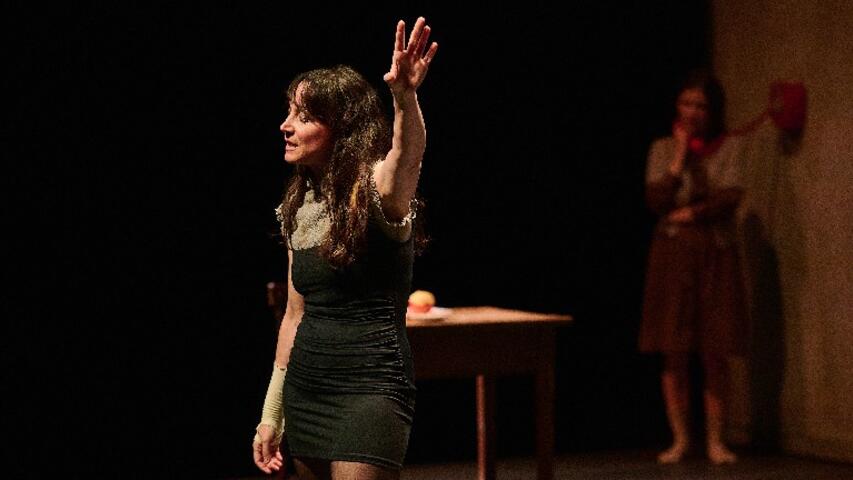 Foto 3 de l'espectacle Anatomia d'un suïcidi © studiruano/TNC