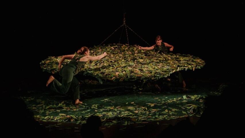 Foto 4 de l'espectacle Sotabosc © Ana Zaragoza