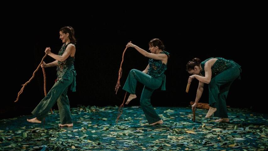 Foto 5 de l'espectacle Sotabosc © Ana Zaragoza