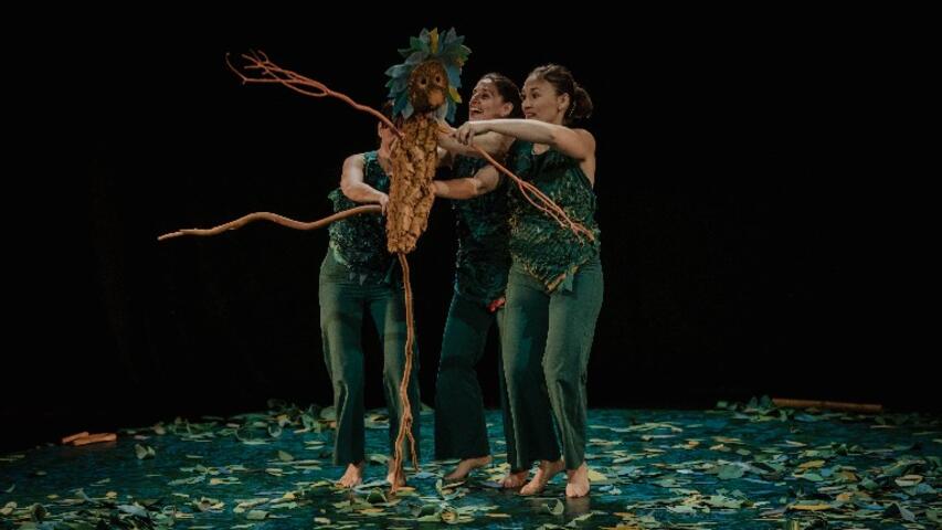 Foto 7 de l'espectacle Sotabosc © Ana Zaragoza