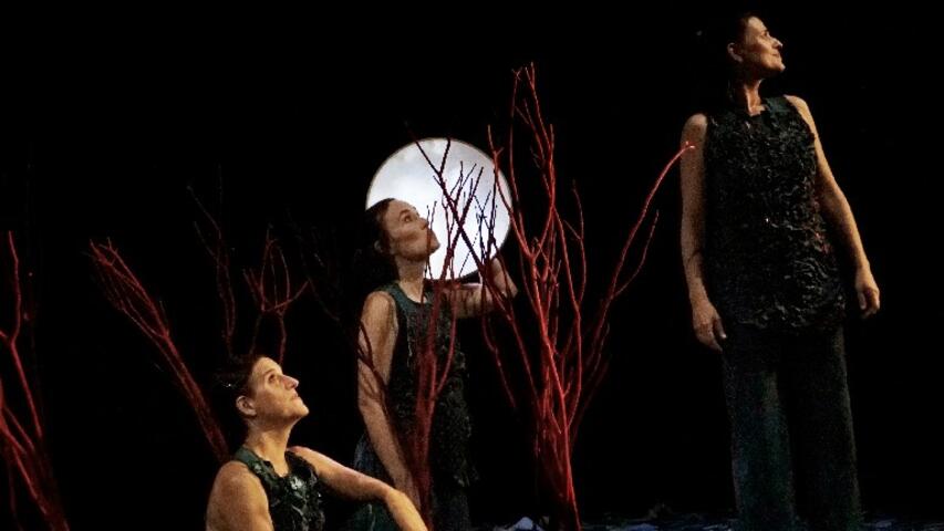 Foto 8 de l'espectacle Sotabosc © Ana Zaragoza