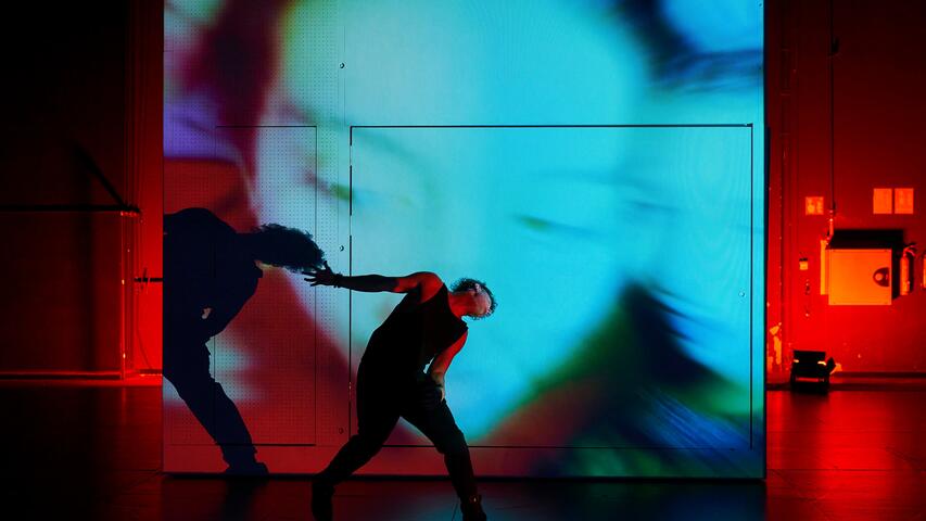 Foto 12 de Tarsius ©David Ruano/TNC