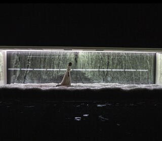 Dissection d'une chute de neige