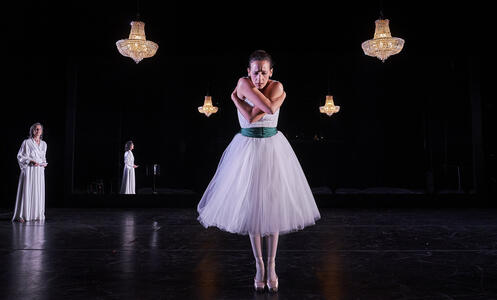 T25 La filla de l'aire 099