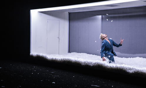 Foto 1 de Dissection d’une chute de neige © Géraldine Aresteanu