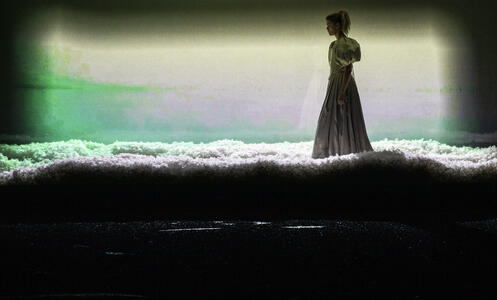 Foto 3 de Dissection d’une chute de neige © Géraldine Aresteanu