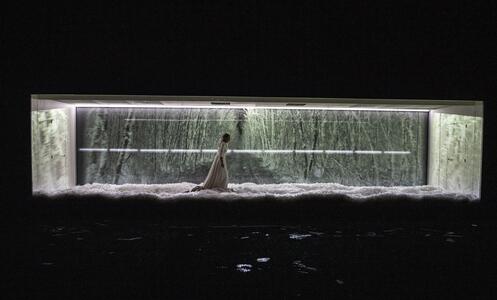 Foto 4 de Dissection d’une chute de neige © Géraldine Aresteanu
