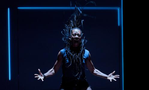 Foto 8 de Tarsius ©David Ruano/TNC