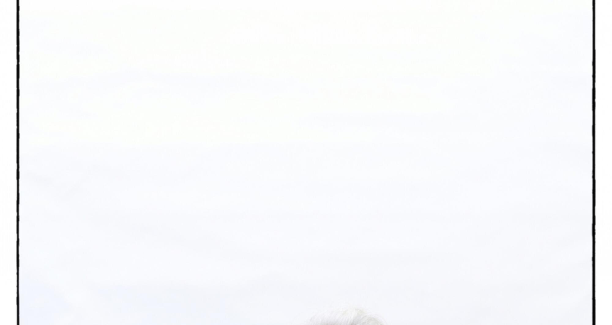 Quan despertem d'entre els morts