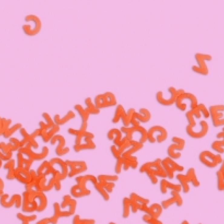 Els perseguidors de paraules