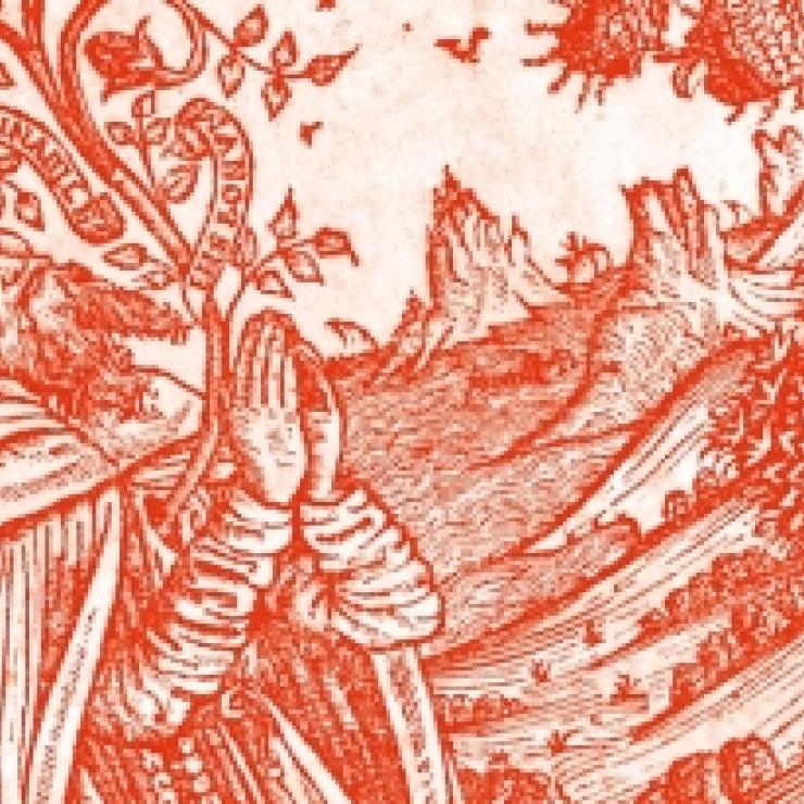 Entre la vinya e el fenollar