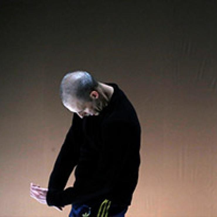 ON GOLDBERG VARIATIONS / VARIATIONS